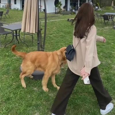 雁南飞